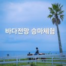제주승마체험 중문승마공원 후기, 바다 보며 말 타는 이색체험