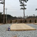 수혁농장 | 24.04.19~21 벚꽃캠