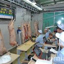 제주양돈축산업협동조합 축산물종합유통센터 이미지