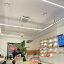 킨더독 | 잠실 애견카페 추천 (삼전역 킨더독)