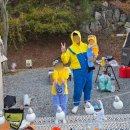 캠핑장 | 논산 별바라기 캠핑장 후기⭐ 할로윈 미니언즈 가족 캠핑