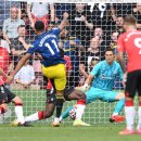 그린우드 이미지