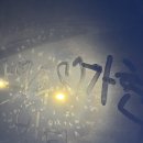 항공 / YHA 브리즈번 임시숙소 / 커먼웰스뱅크 / 도착 이틀만에 집 구한 후기 / 플랫메이트 인기녀 ㅋㅋ