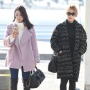 중국가자 이미지