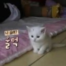 (주)대산후드 | 15.0