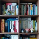 해약국 | 나의 15년 주거 변천사 (feat. 기숙사, 원룸, 오피스텔, LH 행복주택)