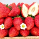 독립농장 이미지