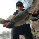 부엉덤이 이미지