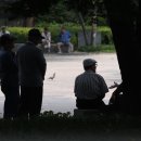 탑골경로당 이미지