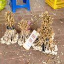 가야대역 이미지