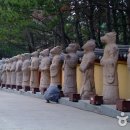 해동 이미지