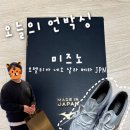 [미즈노] 모렐리아 네오 살라 베타 JPN 풋살화 - 사이즈, 착용감, 디자인, 가격, 후기