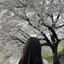 로데오헤어 | 천호역 미용실 추천 준오헤어 천호로데오점 뿌염 후기