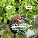 두집두채 이미지