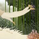 마리이야기 이미지