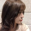 솔리헤어 이미지