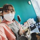 도솔쉼터 이미지