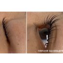 금성갈비탕 | 더뷰티 산본점 | 산본역 속눈썹펌 블랙틴팅 후기