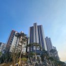 다올부동산공인중개사사무소 네이버블로그