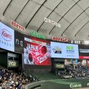 경명공원내야외화장실 | 2026 WBC 도쿄돔 직관 전 필독 꿀팁 한일전 직관후기