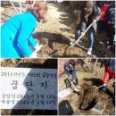 새서귀초등학교 이미지