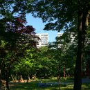 마야유치원 이미지