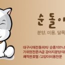 순돌뭐하니 이미지