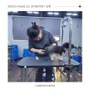 사단법인 한국동물구조관리협회 동물병원 이미지