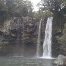 천지연폭포 이미지