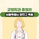 서울특별시 양천구 목동 교정치과 총정리