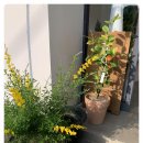 오비5길 이미지