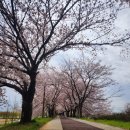 담덕기업 | 부산행사차량렌트:담덕노인주간보호센터 꽃놀이
