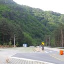 단풍나무펜션민박 이미지