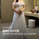 왕초보 클래식기타 | 셀레브 브라이덜 촬영 드레스 후기｜팔뚝살 안 부각되는 드레스 셀렉
