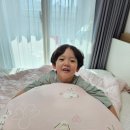 수호침구