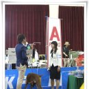 프라이드 켄넬 이미지