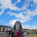 제주기사 | 제주도 여행! 제주 카니발 렌트 기사 대절 후기!