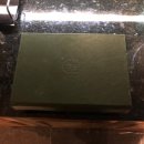 레몬무인텔 이미지