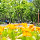 둔산북로90번길 이미지