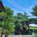 익산애견테마파크 이미지