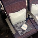 031 | #807 대한항공 인천공항→달라스 직항 후기 / KE031 비상구 레그룸, 기내식 종류, 제공 물품 솔직 리뷰