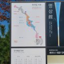 자작카페핸리 | 뮤지엄 산에서 되찾은 여유와 힐링_ 명상관, 제임스터렐 작품 / 원주시 단풍구경