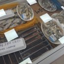 용봉마트 이미지