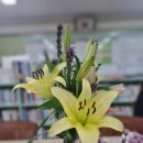 전주용덕초등학교 이미지