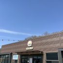용인 애견카페, 애견운동장 댕글라이프에서 힐링 후기!