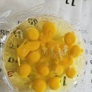 해상농장 이미지