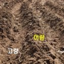 두렁