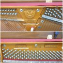 햇살피아노학원 | 김포 피아노 조율 김포한강신도시 피아노학원 피아노 조정 조율