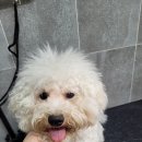 명수유치원 이미지