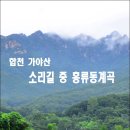 합천 가야산 소리길 중 홍류동계곡 이미지